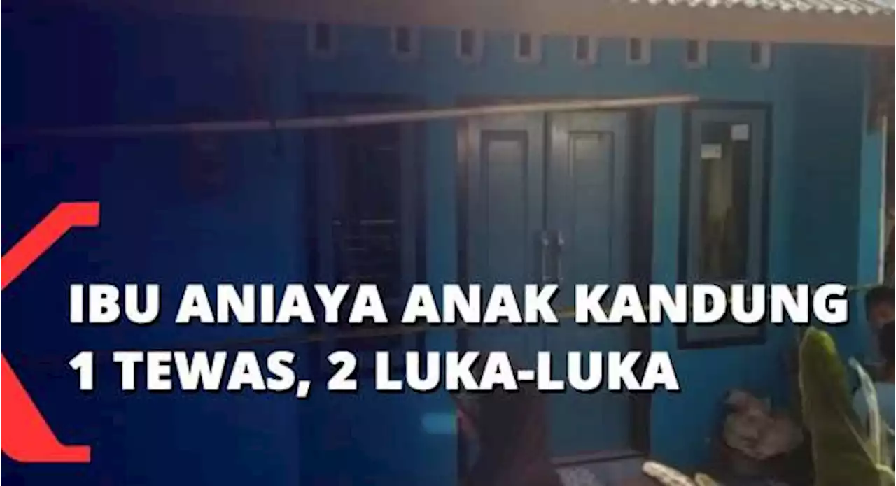 Ibu Aniaya Anak Kandung 1 Tewas, 2 Luka-luka