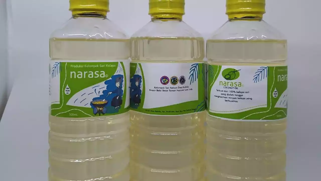 Minyak Kelapa, Solusi Alternatif Urusan Dapur dan Pelindung Kawasan Taman Nasional Lore Lindu