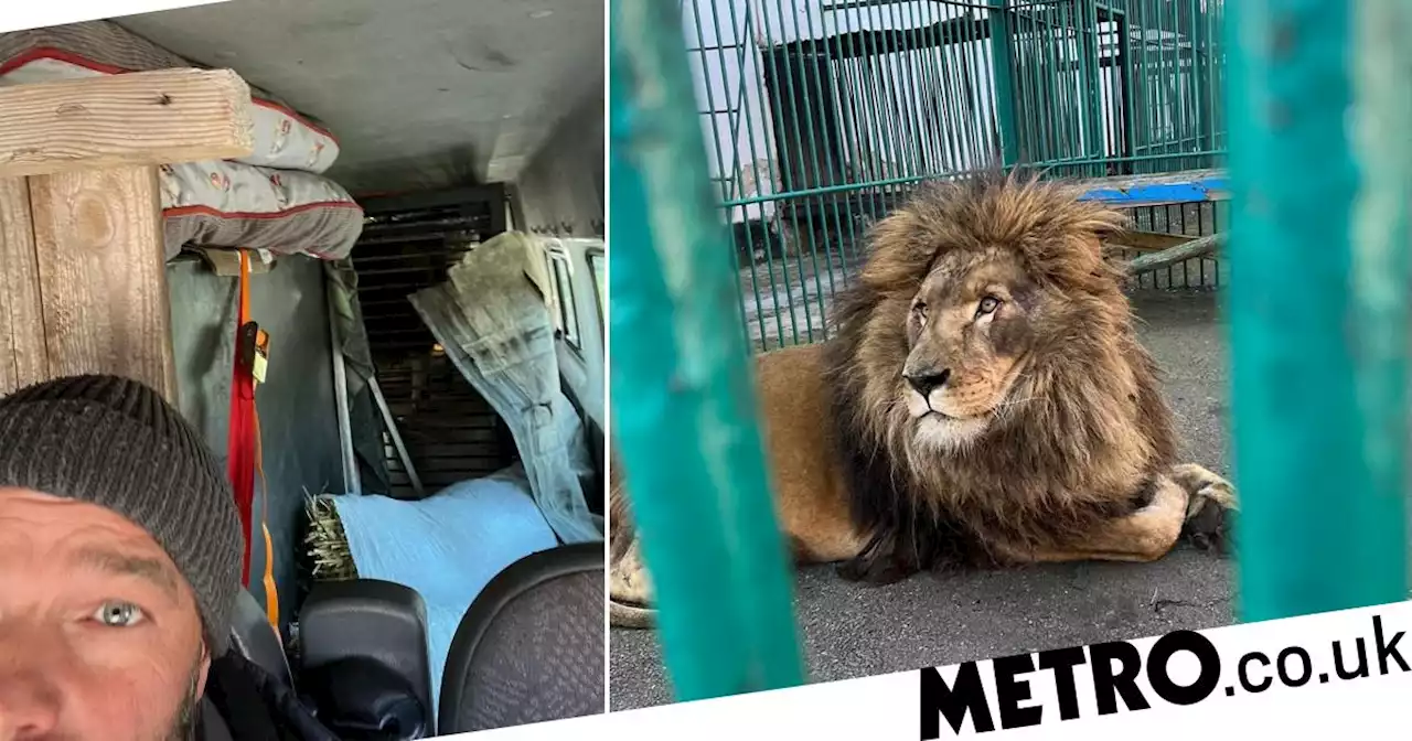 Brits drive lion and wolf out of Ukraine in minibus on 1,200-mile rescue mission