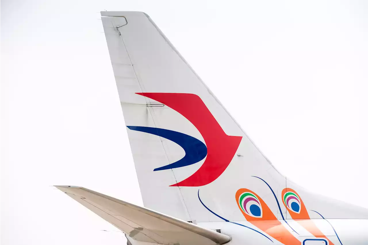 A China Eastern Airlines Boeing 737 Has Crashed With 132 People on Board, Chinese Aviation Authority Says