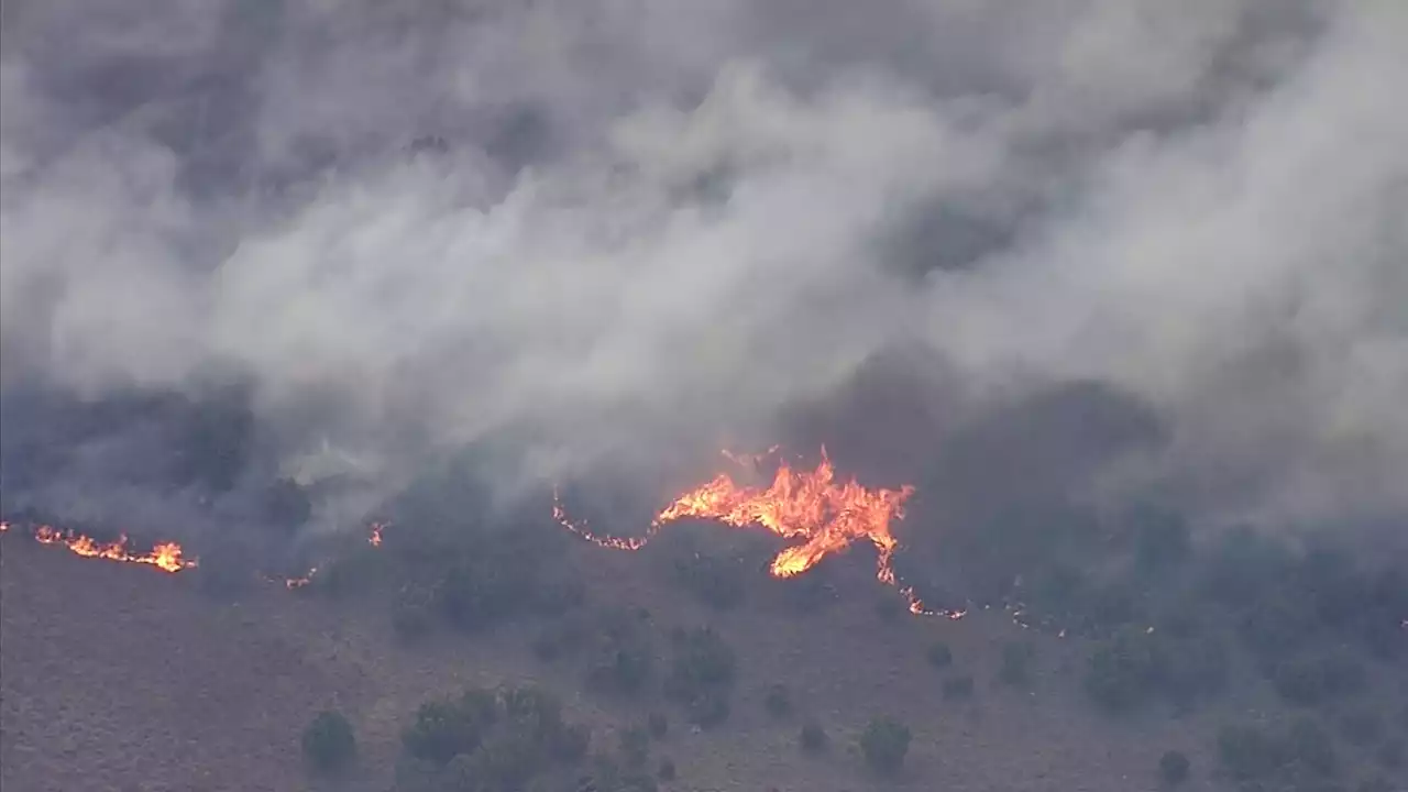 Wildfires Force Evacuation Orders for Three North Texas Counties; 2 Firefighters Injured