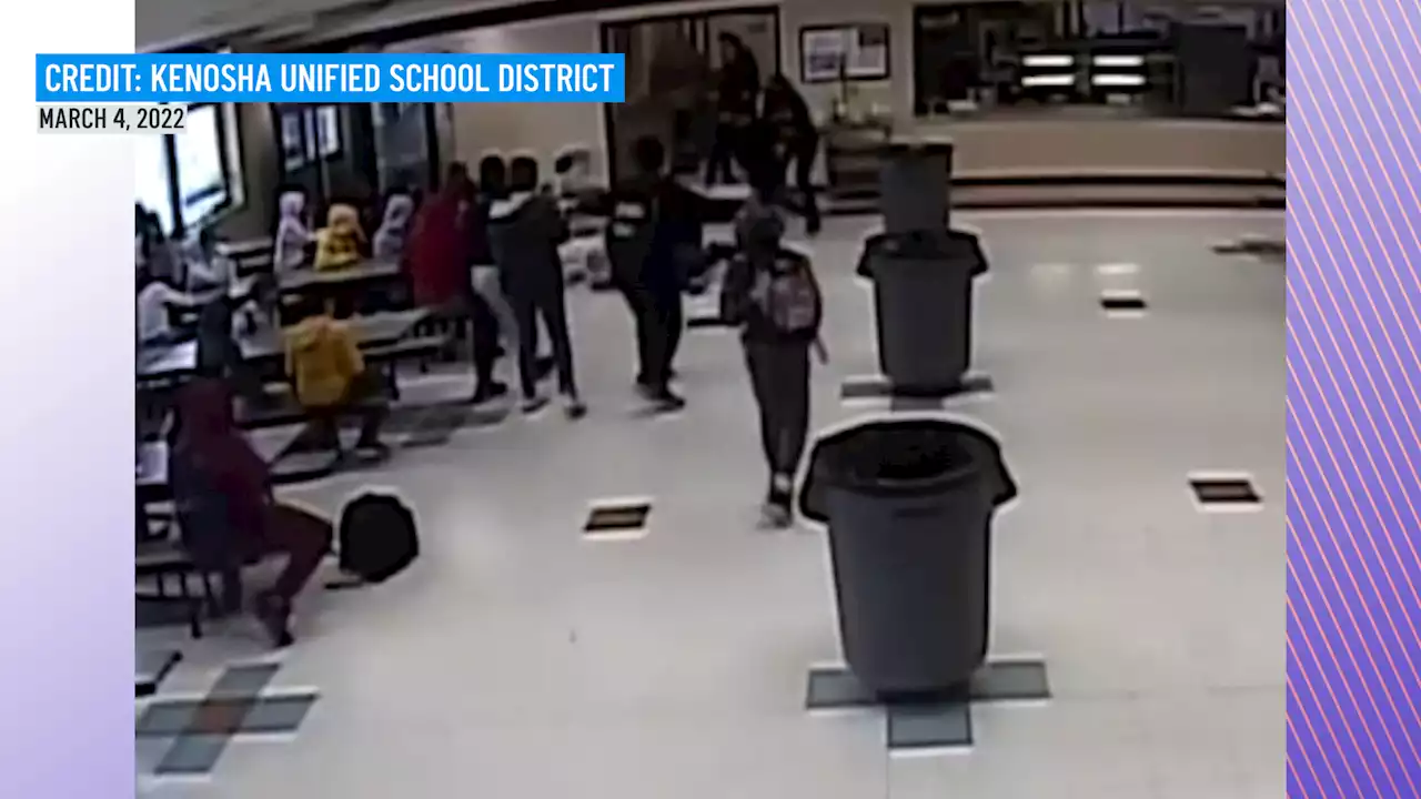 Video Shows Cop Kneeling on 12-Year-Old Girl's Neck While Breaking Up Lunchtime School Fight