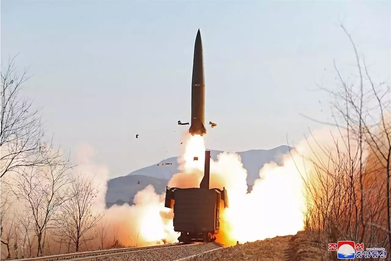 North Korea fires 'multiple rocket launchers' - Seoul | News24