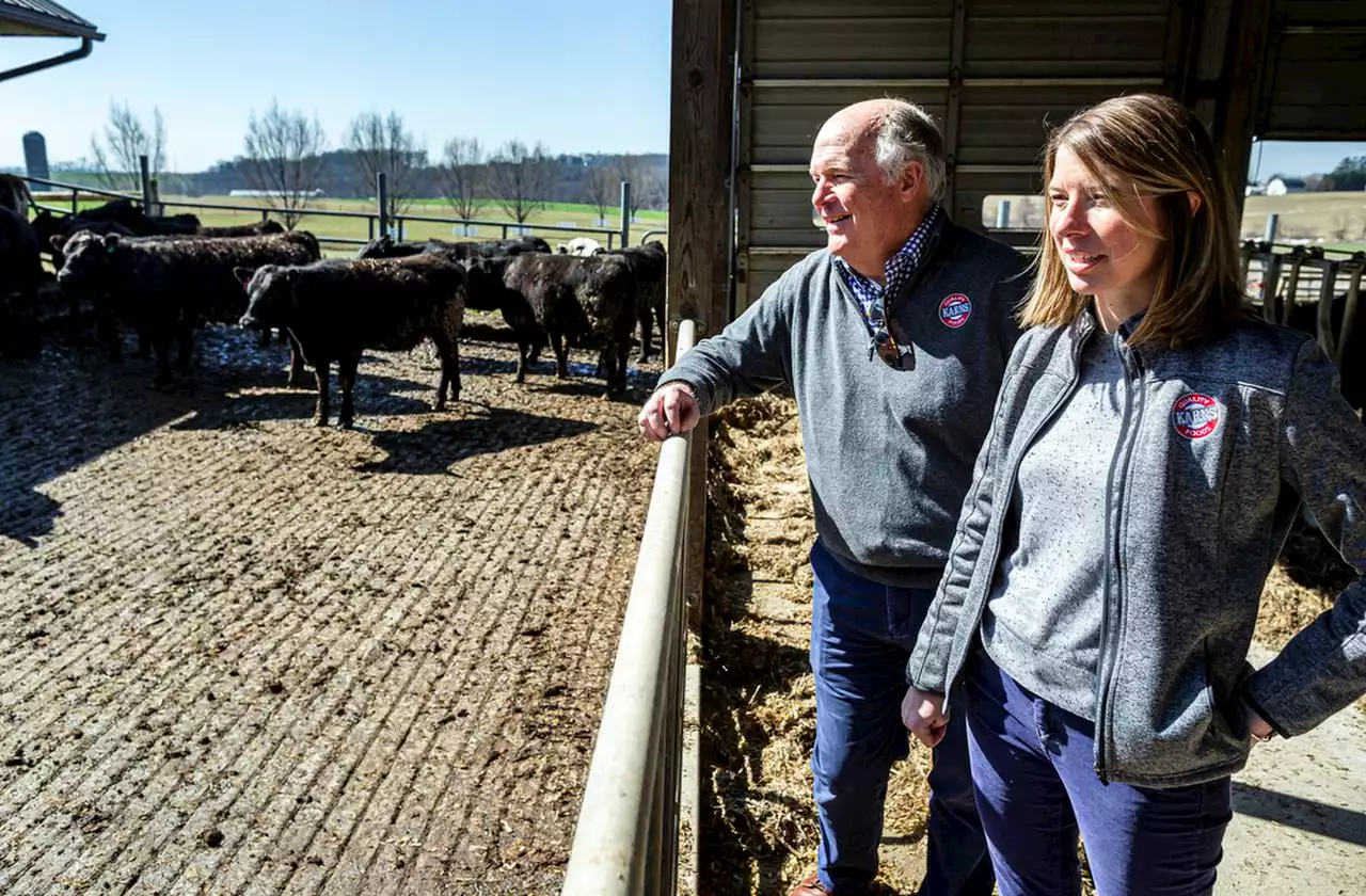 Central Pa. grocery chain’s homegrown beef could ‘position Pa. as leading cattle state’