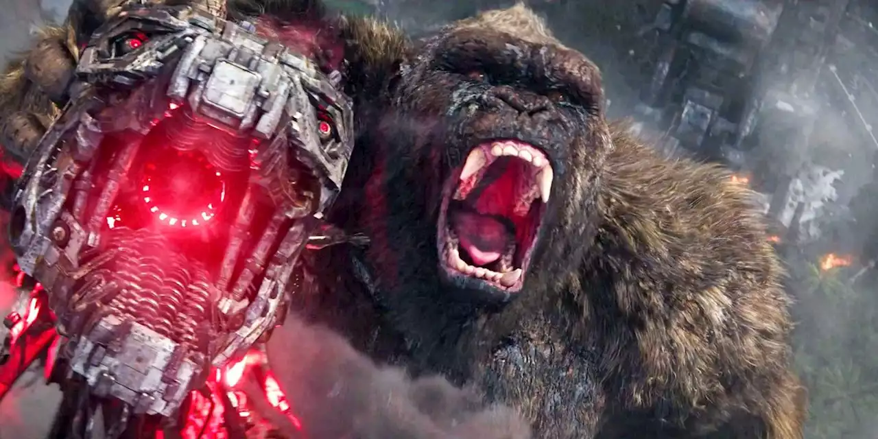 Godzilla vs. Kong Sequel Filming Later This Year In Australia