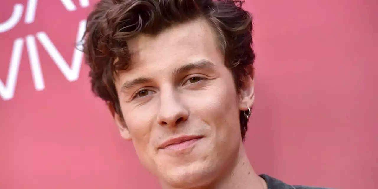 Shawn Mendes Opens Up About Breakup With Camila Cabello: 'I'm on My Own Now'