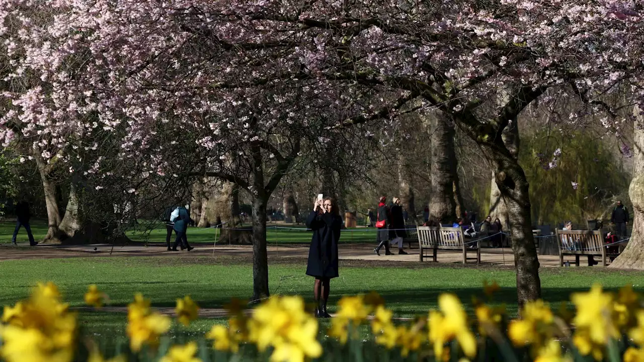 UK weather: Temperatures set to hit 19C this week as 'plenty of sunny spells' forecast