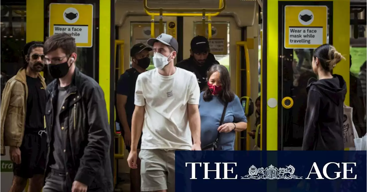 Experts ease infection fear as commuters drive up public transport usage