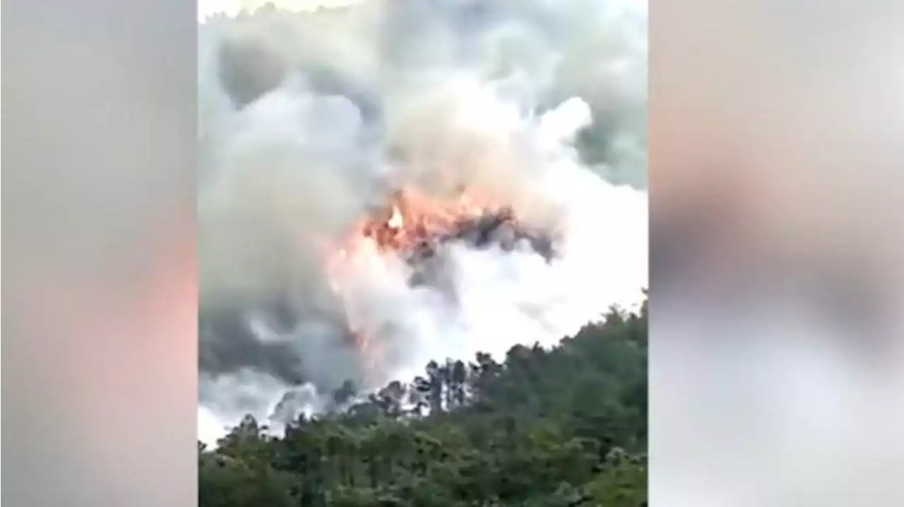 Video Detik-detik Boeing 737 China Eastern Jatuh, Menukik Tajam dengan Kecepatan Tinggi - Tribunnews.com