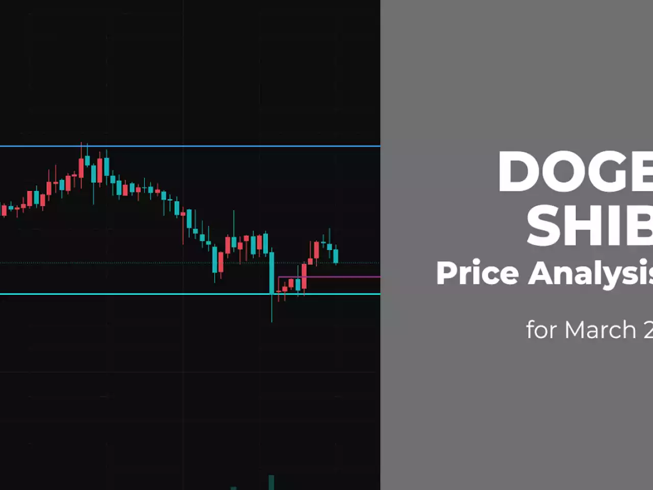 DOGE and SHIB Price Analysis for March 21