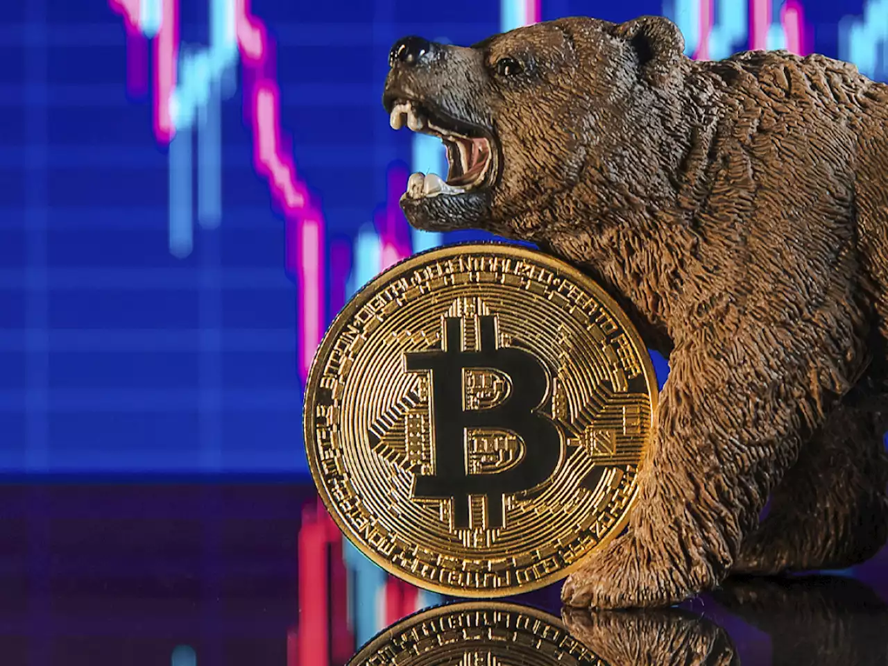 Here's Why Bitcoin Bear Cycles Are Potentially Over