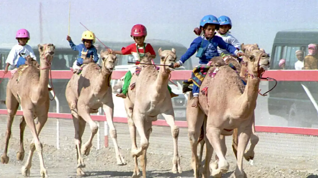 Olah Raga Kuno Balap Unta Digelar pada Festival Saif Al Ittihad di Oman