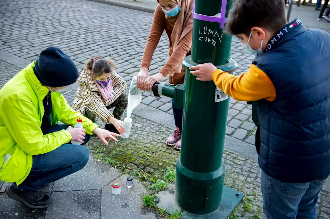 Umweltschützer warnen: Grundwasserspiegel in Berlin sinkt immer weiter