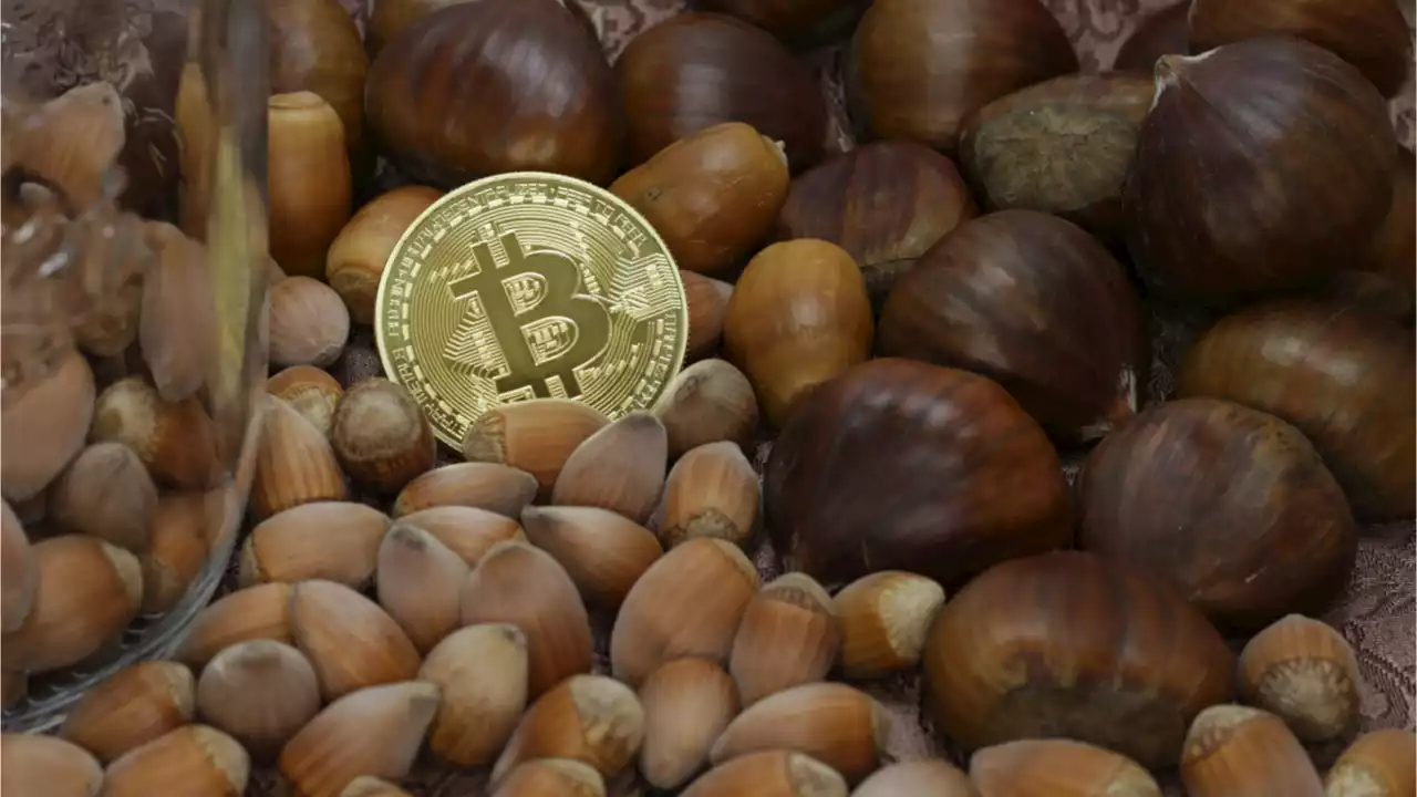 US Fintech Firm Acorns Adds Crypto Exposure Investing via Proshares Bitcoin ETF – Bitcoin News