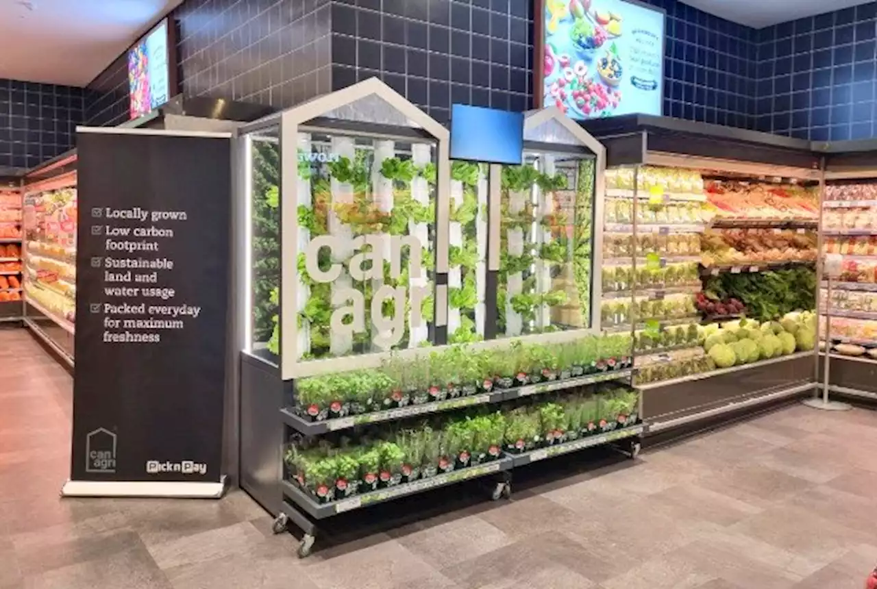 Pick n Pay launches in-store ‘vertical farms’