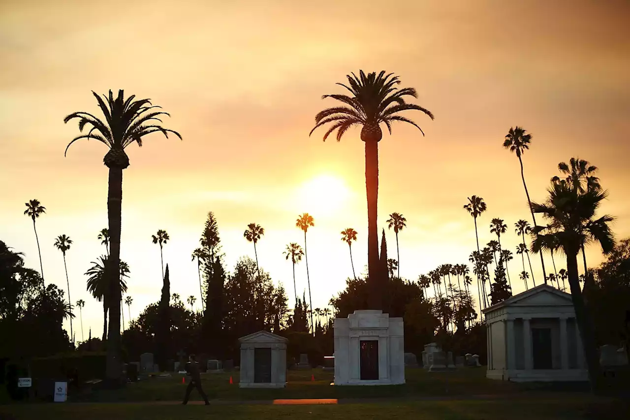 City Council To Consider Designating Hollywood Forever Cemetery Historic-Cultural Monument