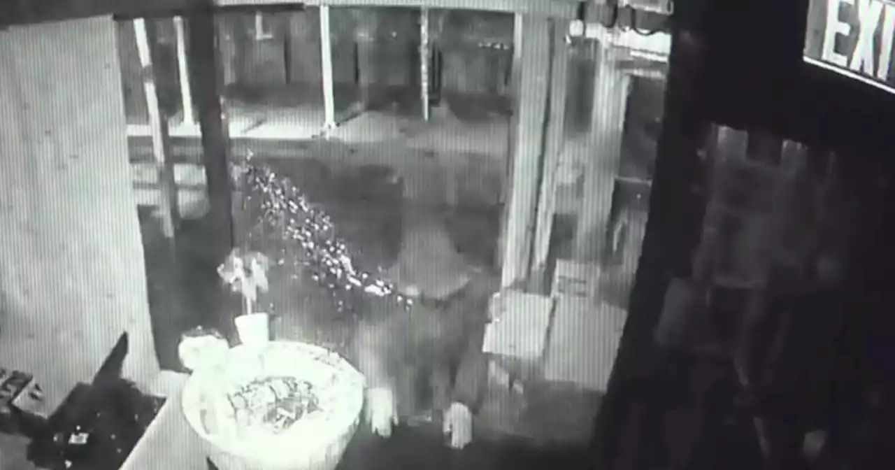 Caught on video: Burglar smashes into The Cecil Steakhouse in Harlem