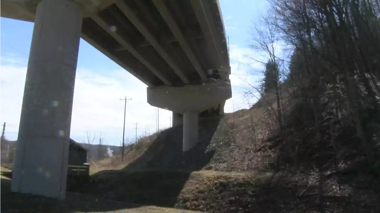 GRAPHIC: Deer can’t stop jumping to their deaths from this overpass as residents beg for help