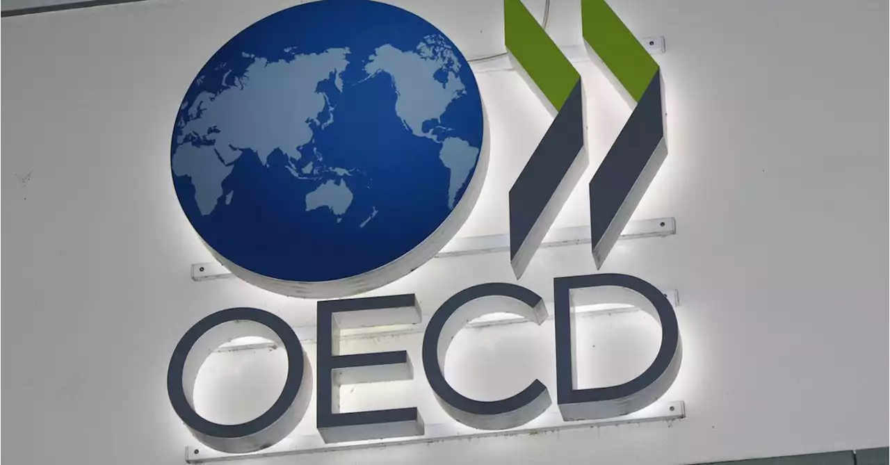 Crypto Providers Would Have to Swap Transaction Details Under OECD Tax-Dodging Proposal