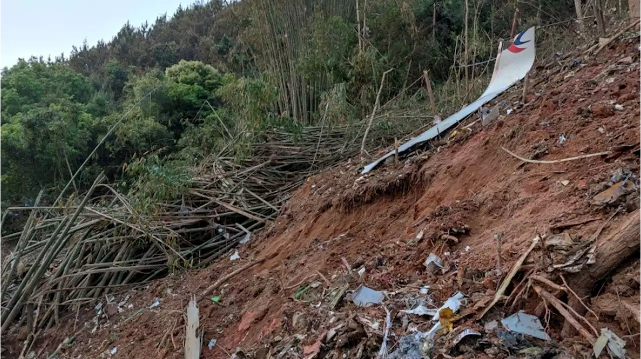 No survivors found in crash of Chinese airliner: State media