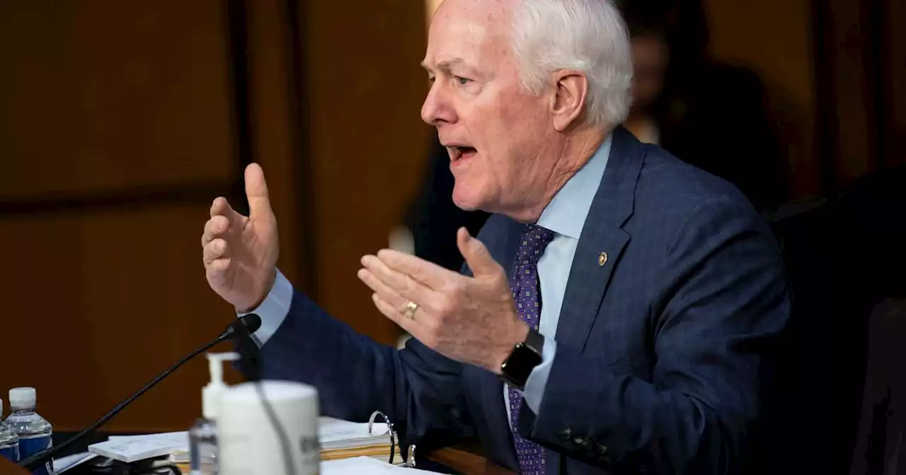 Cornyn says Judge Jackson called Bush and Rumsfeld ‘war criminals,’ Cruz hits critical race theory