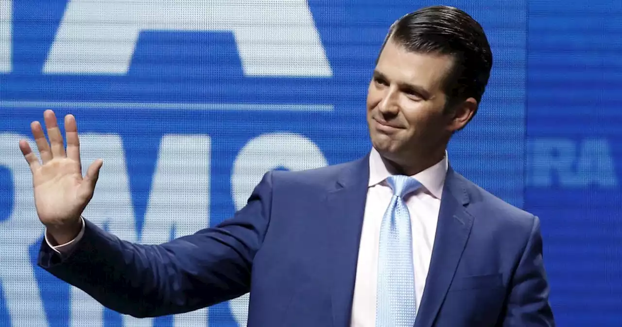 Don Trump Jr. to create Drudge-esque news aggregator