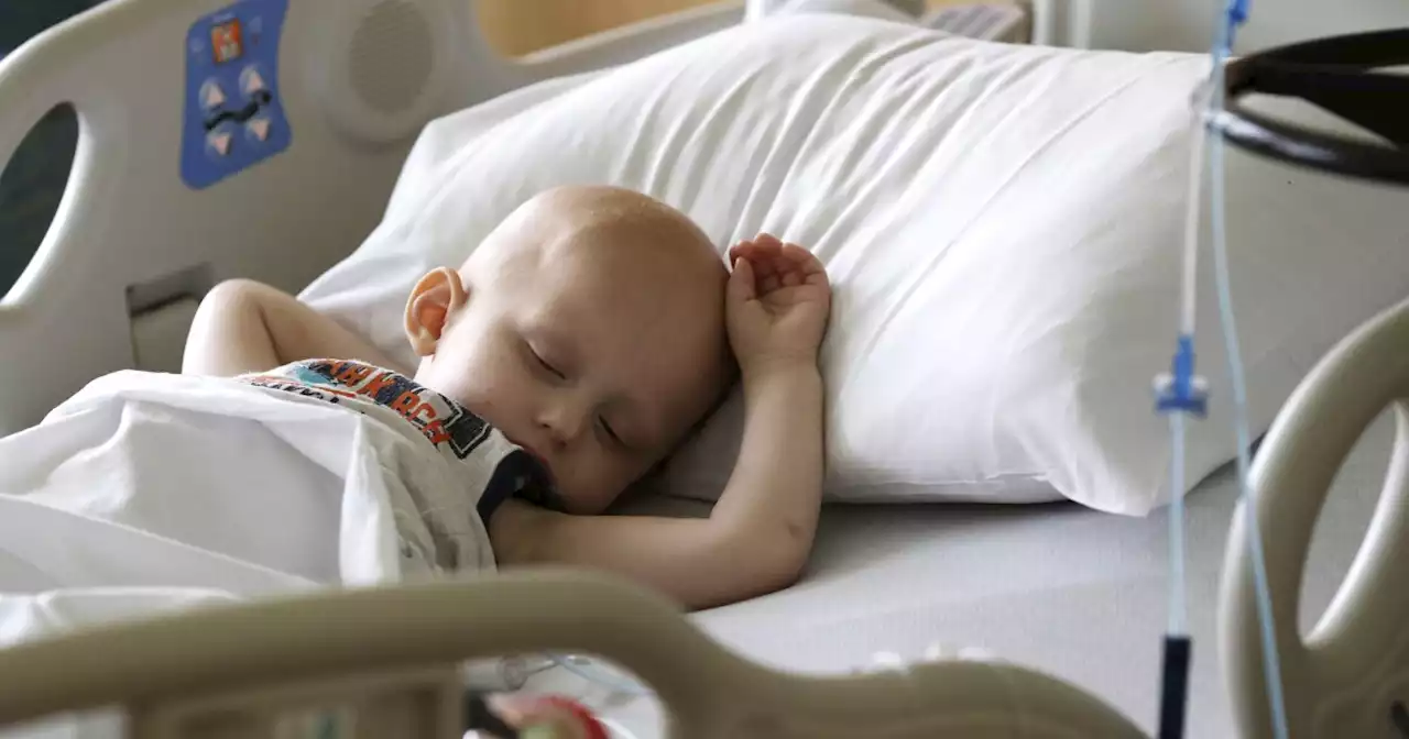 St. Jude and US government evacuate pediatric cancer patients from Ukraine