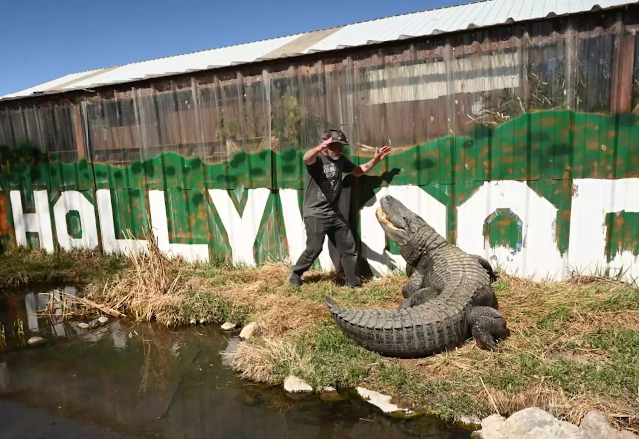 PHOTOS: Colorado Gators and Reptile Park in the San Luis Valley