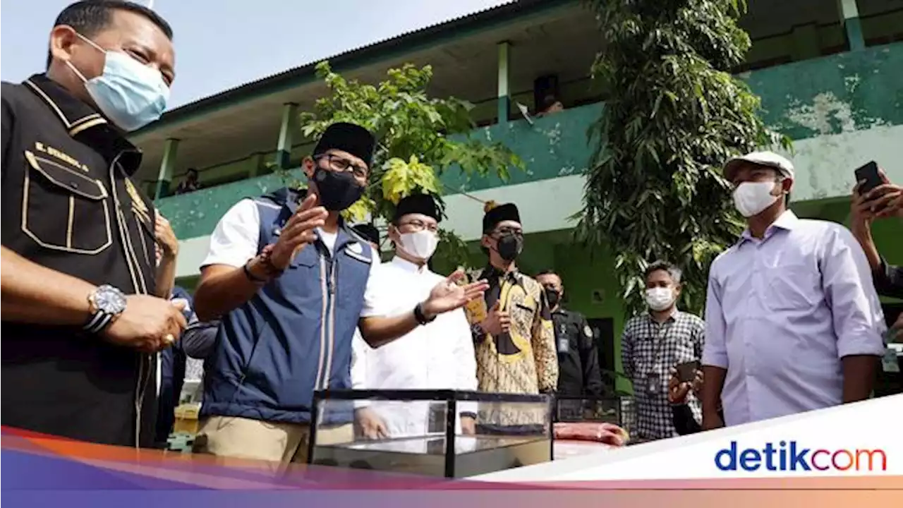 Sandiaga Ajak Warga Jadi Juragan Lele, Caranya Gimana?