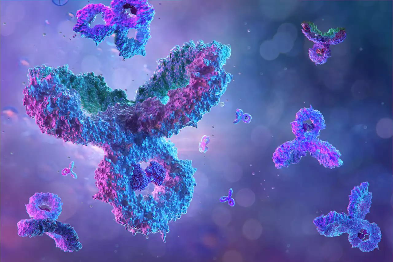 What Monoclonal Antibodies Are — and Why We Need Them As Well As a Vaccine