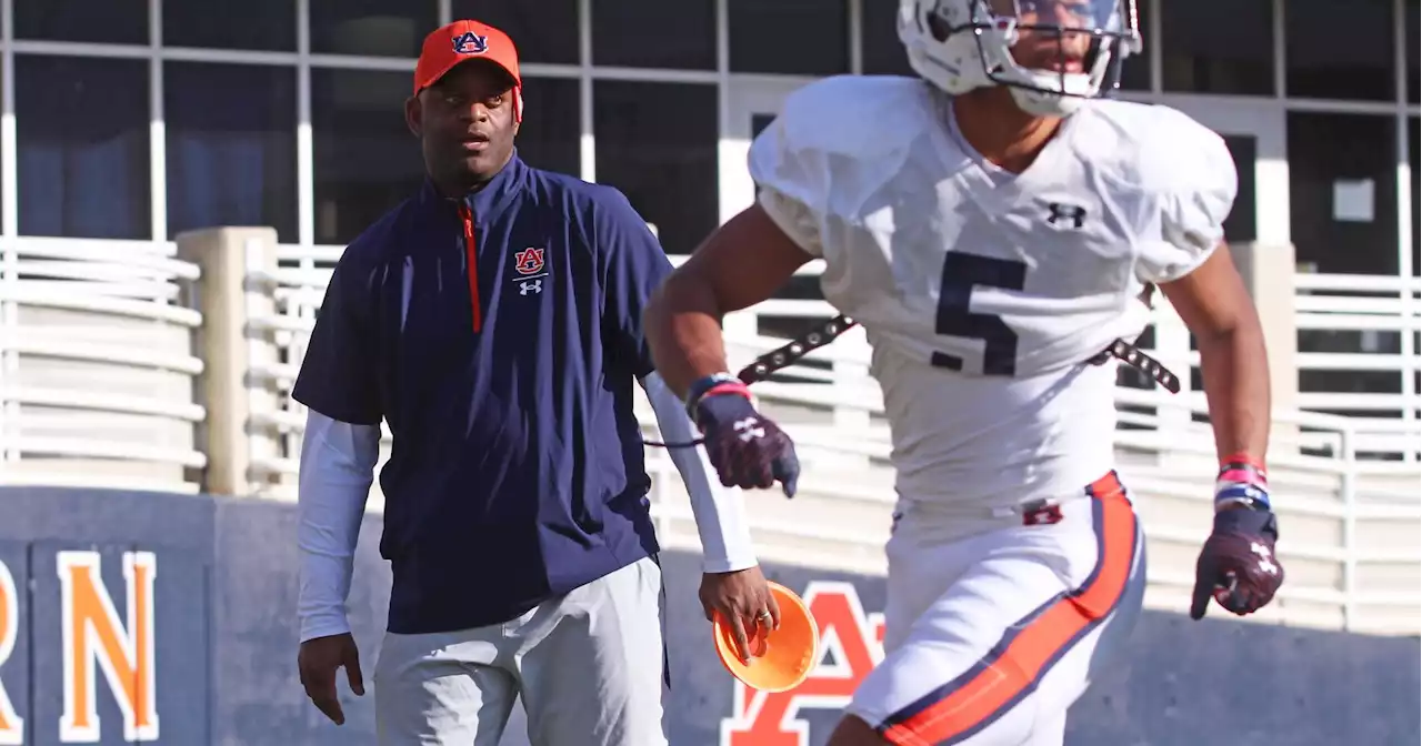 Ike Hilliard embraces first college job at Auburn