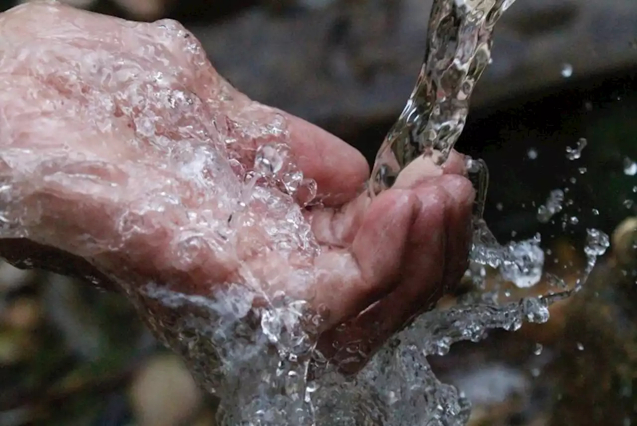 Día Mundial del Agua: 10 datos sobre este líquido vital