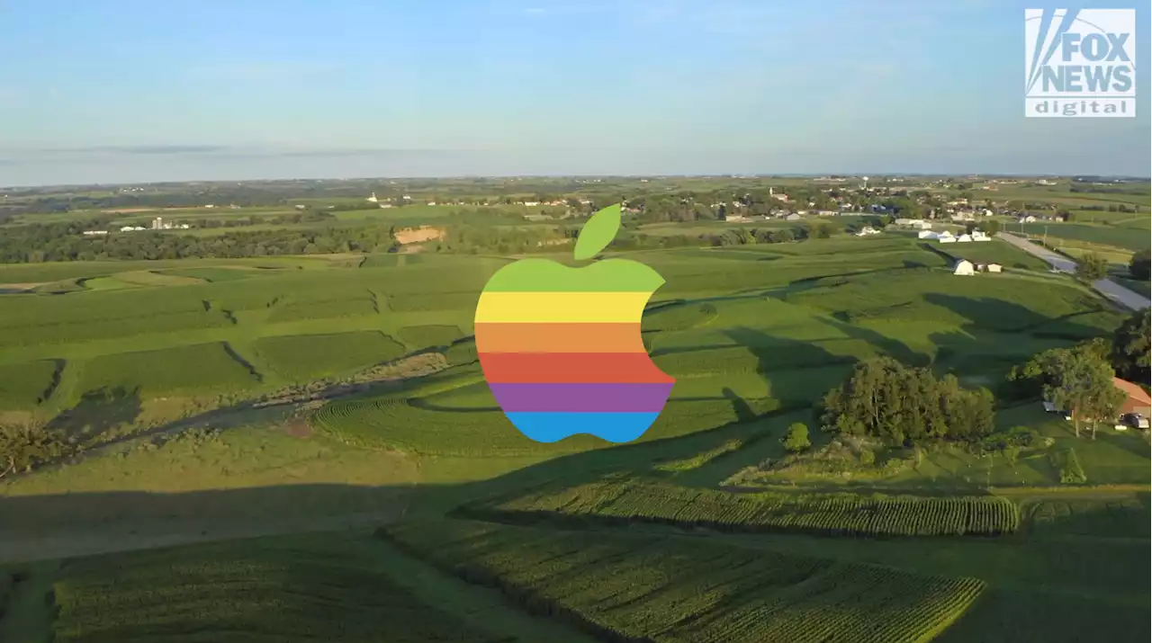 Iowans 'frustrated' with subsidizing Apple, which lobbied against women's sports bill, journalist says