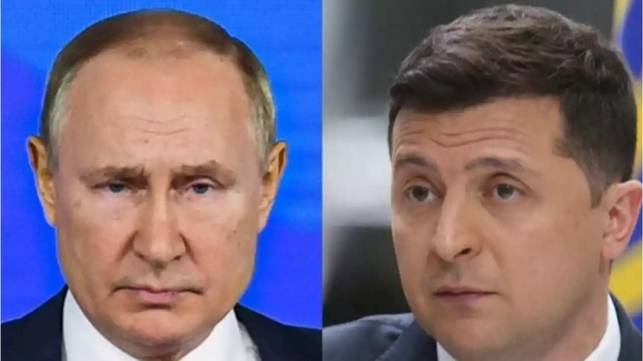 Bahas Perundingan Zelenskyy Bersikeras Adakan Pertemuan dengan Putin