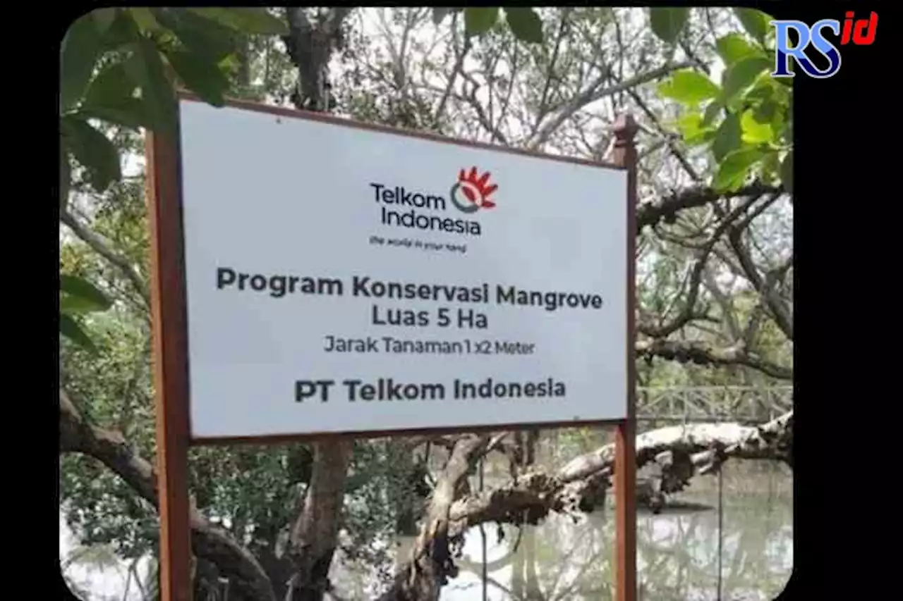 Cegah Abrasi, Besok Telkom Indonesia Tanam Ribuan Bibit Mangrove di SMC