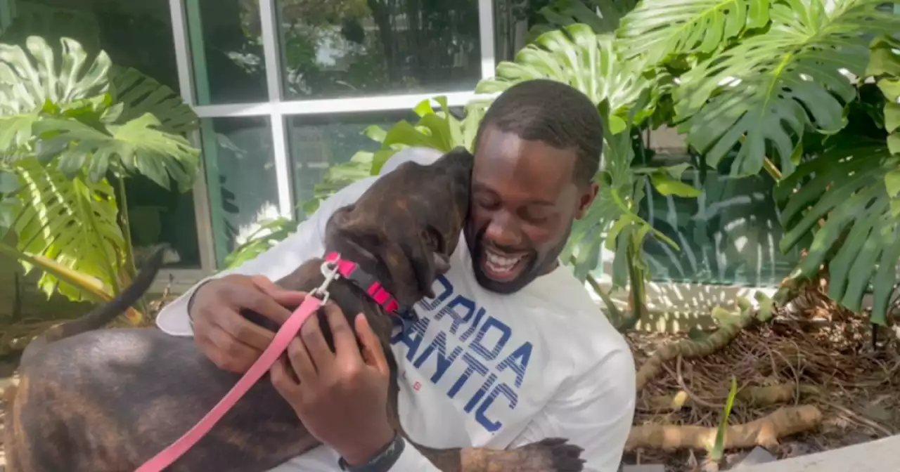 Program pairs student veterans with shelter dogs to tackle PTSD