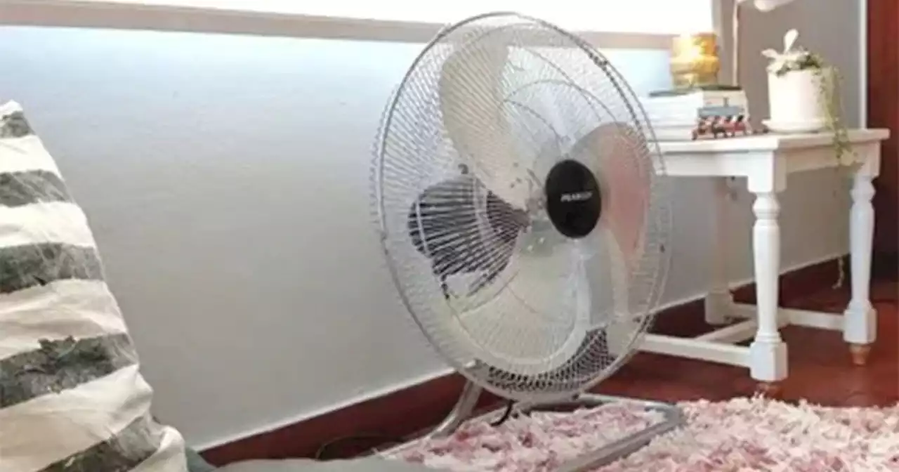 Ventiladores en otoño: ventajas de seguir moviendo el aire | Tendencias | La Voz del Interior