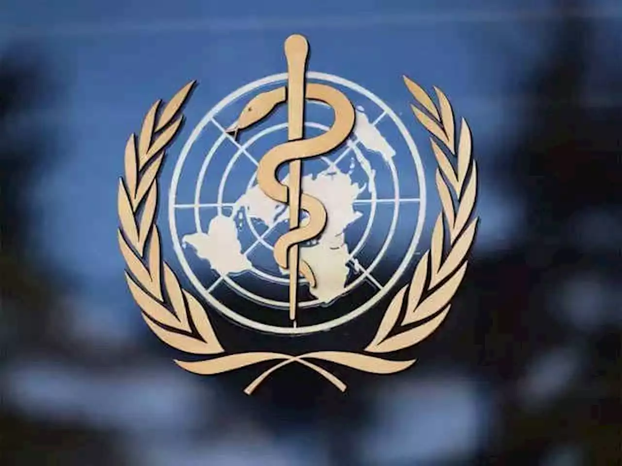 WHO sounds alarm on TB fight funding