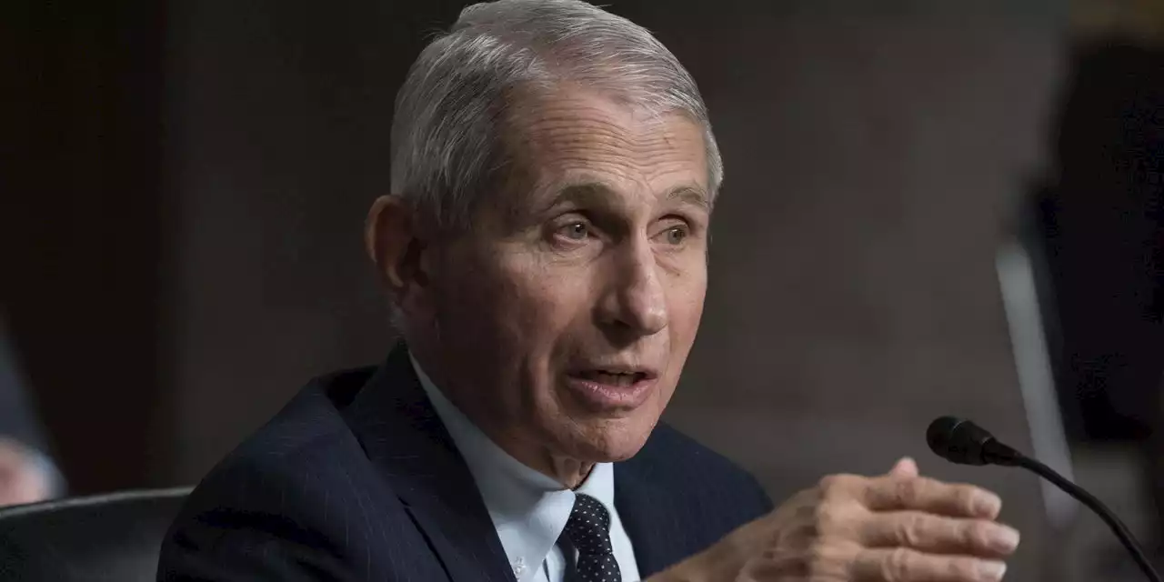 Fauci says uptick in COVID cases likely following rise in Europe, warns 'this virus has fooled us before'