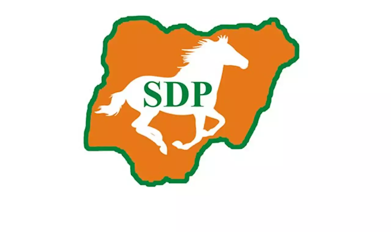 2023: SDP presidential aspirant Adebayo vows to end ASUU strike - Punch Newspapers
