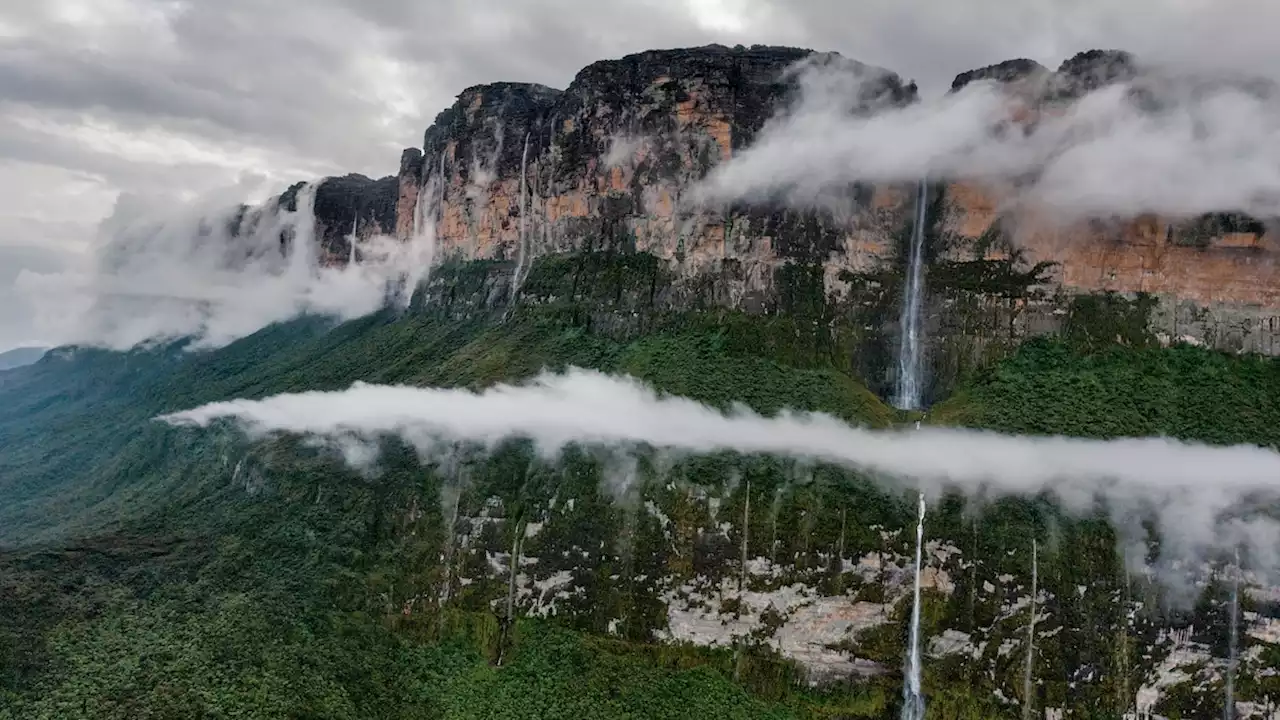 An unexplored world soars high above the Amazon