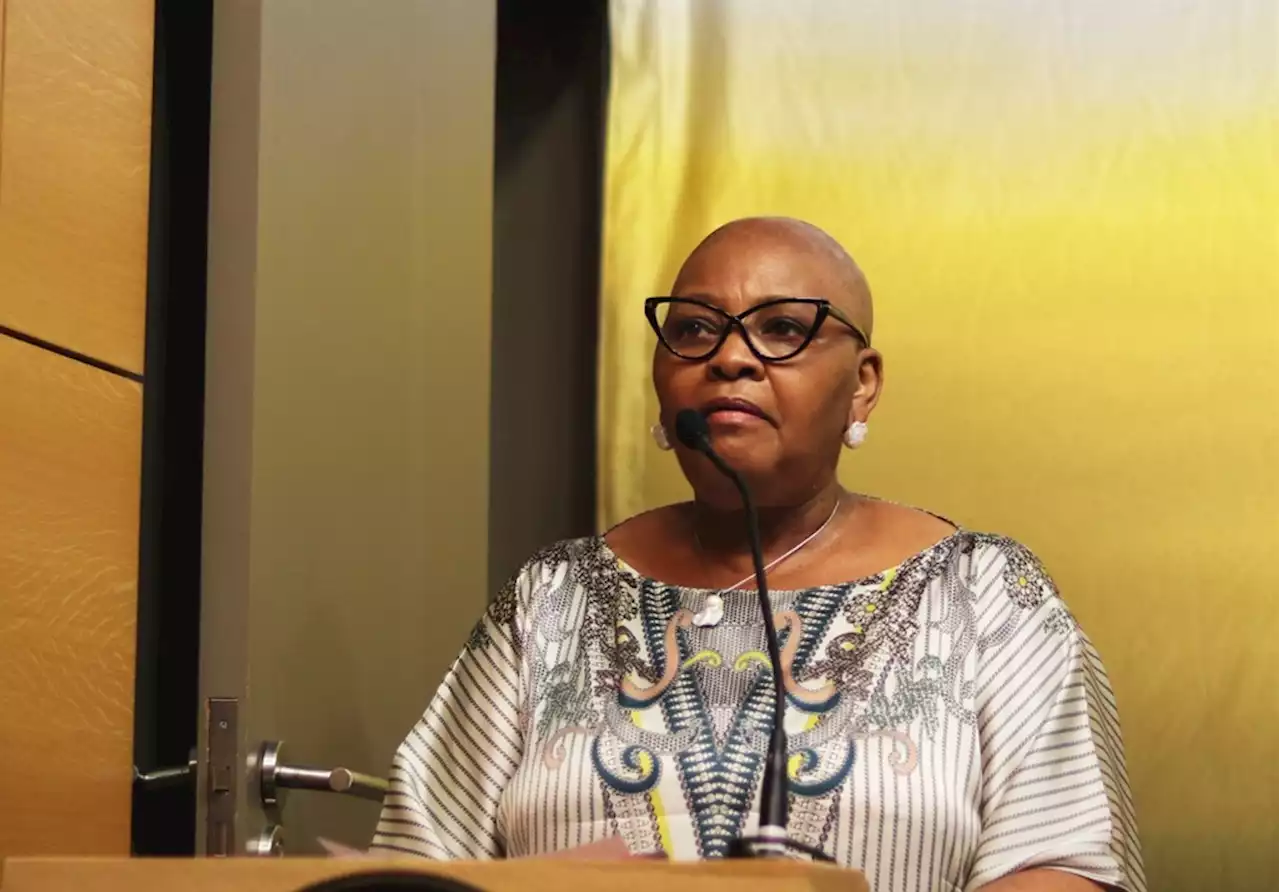 Russia-Ukraine: Speaker Mapisa-Nqakula toes the party line at international event | News24