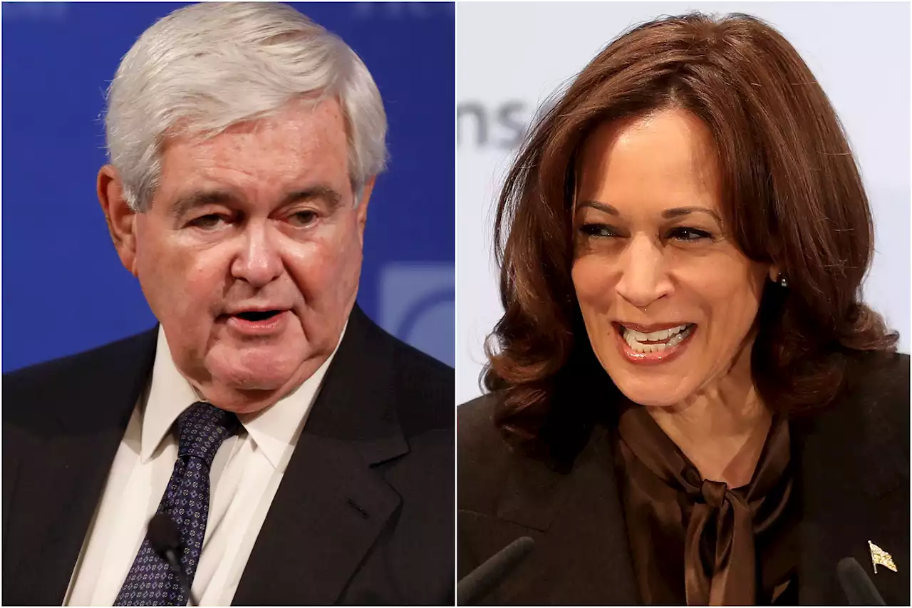 Newt Gingrich calls Kamala Harris 'dumbest' vice president ever