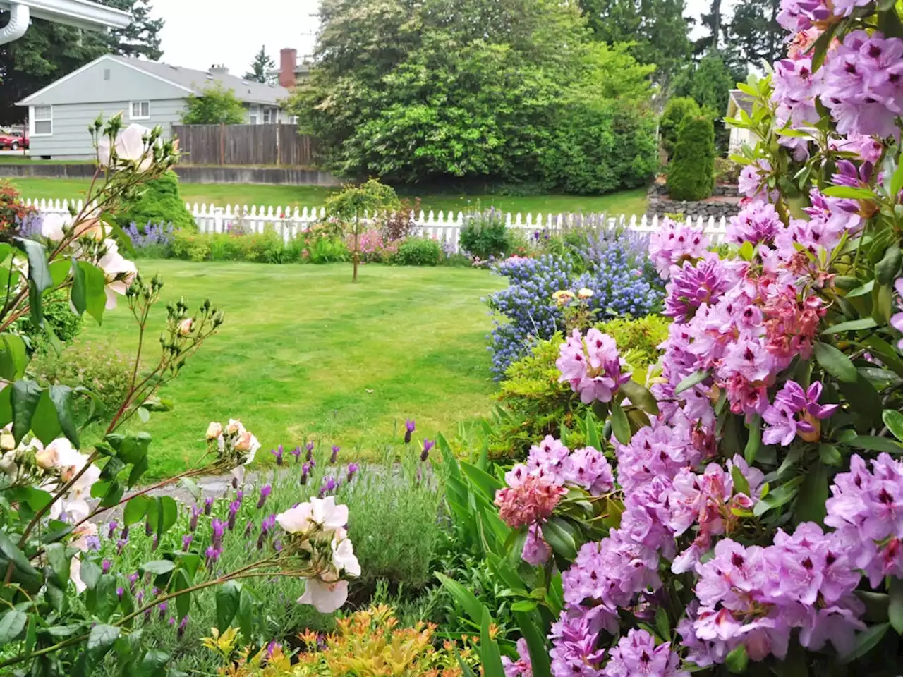 How to adapt your lawn and garden for longer growing seasons