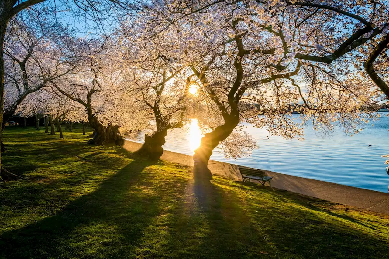 D.C.-area forecast: Cloudier but comfortable today, rising rain chances tomorrow