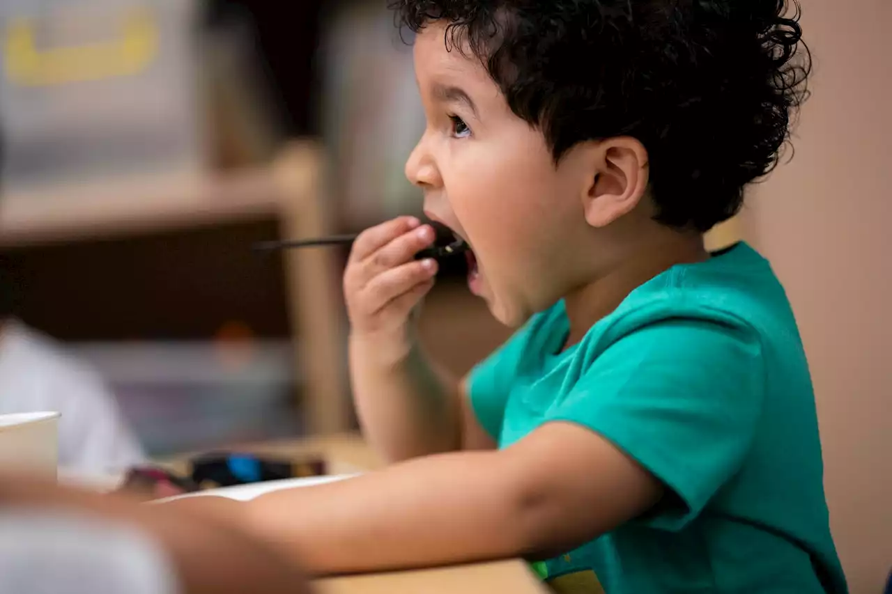 Perspective | Children get taste buds tuned for lifetime of healthful eating