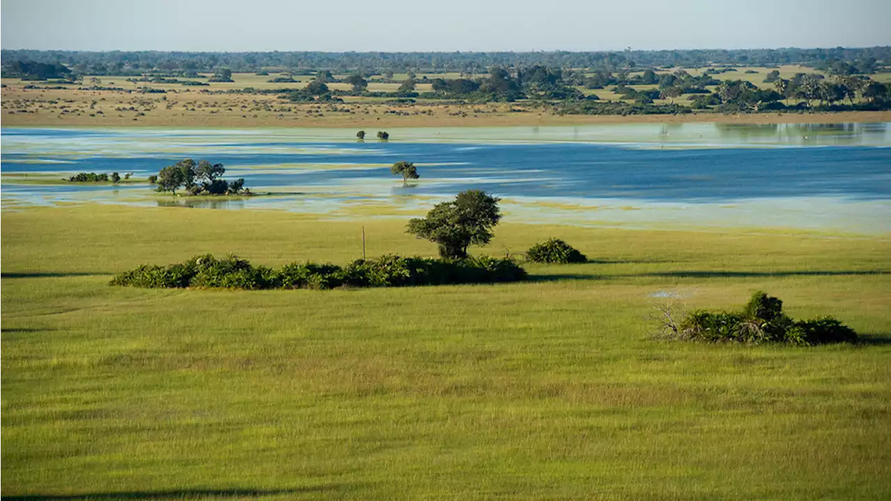 Why ‘Green Season’ Is Actually the Best Time to Go on Safari