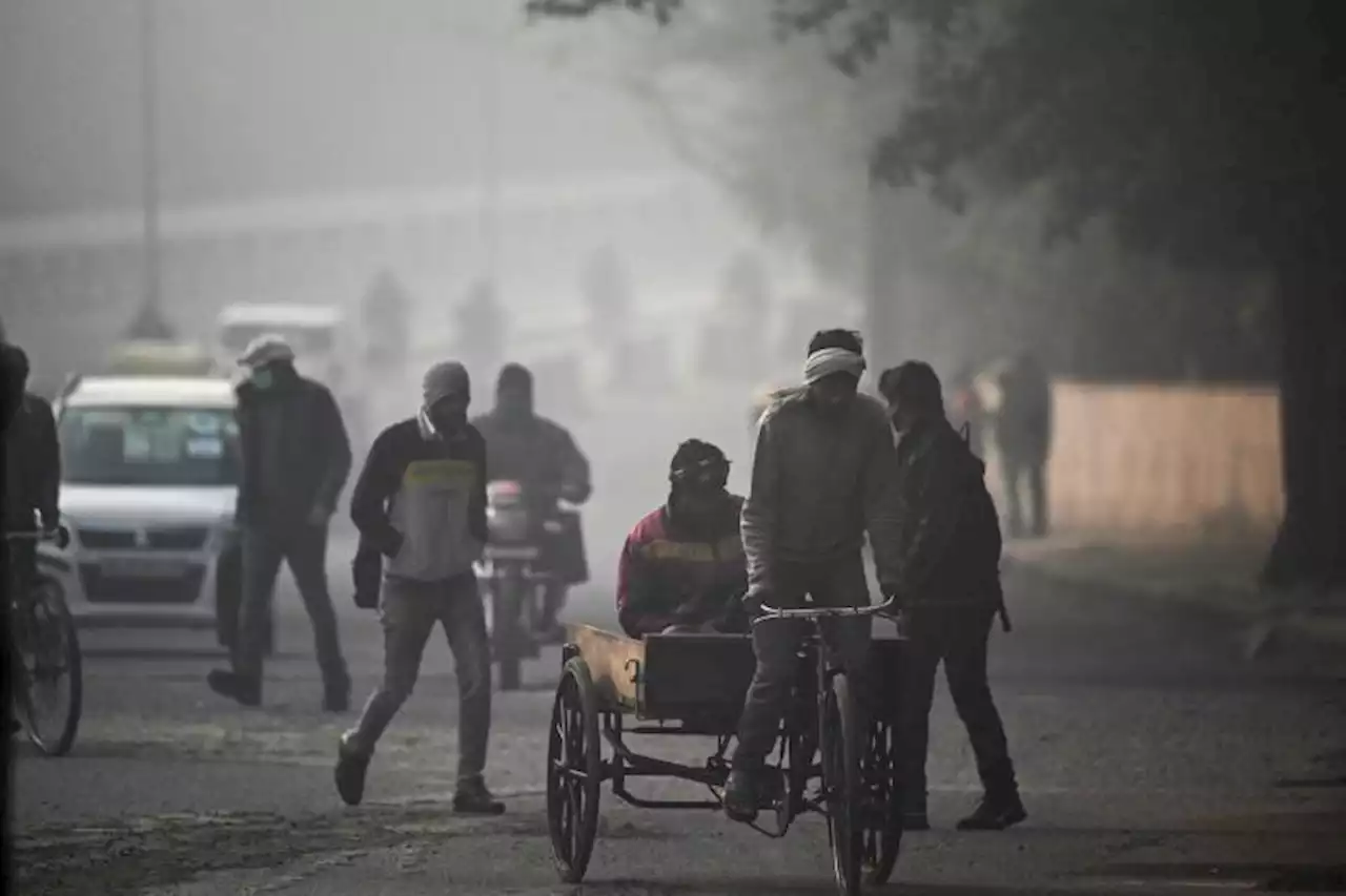 No country met WHO air quality standards in 2021: Data