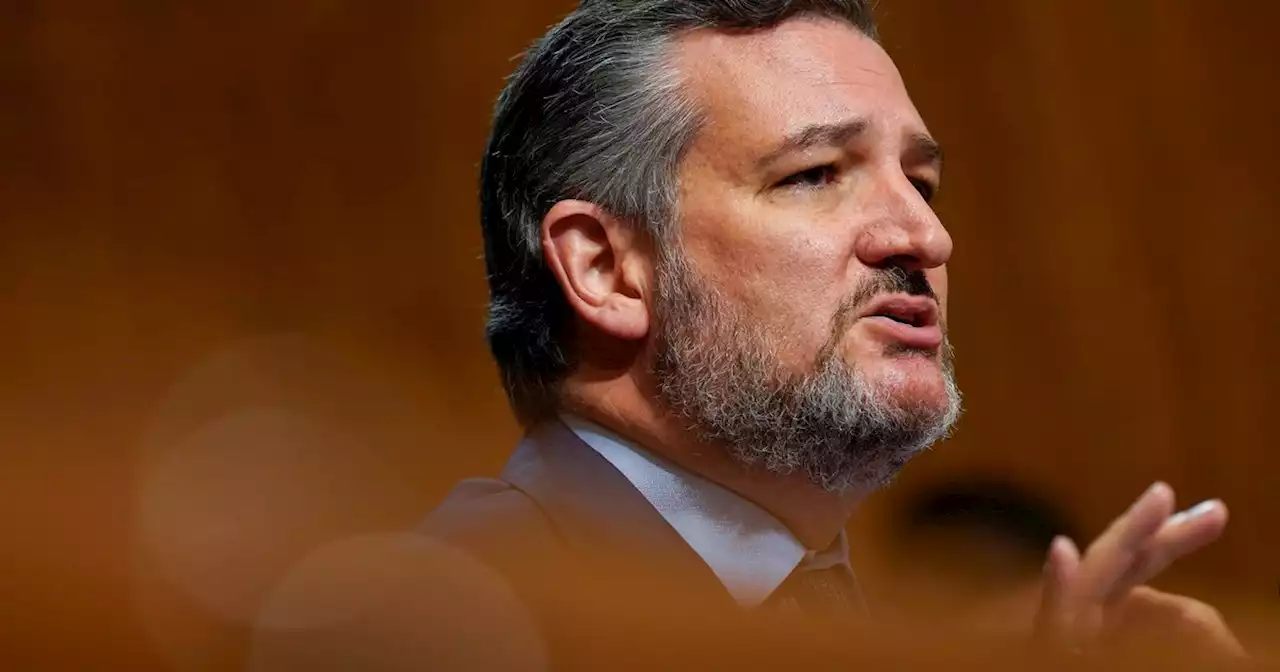 What is harm reduction, the drug-treatment program that Sen. Ted Cruz has criticized?