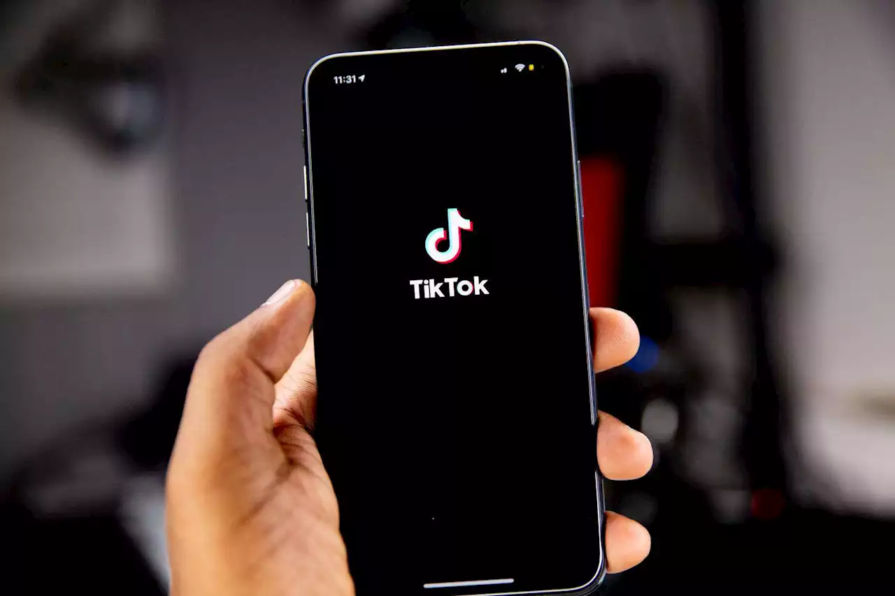 Are TikTok stories 'fleets all over again'?